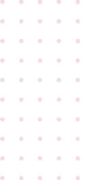 iconobg