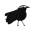 logo loica